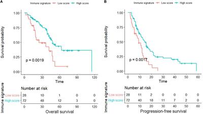 Multiple Immune Features-Based Signature for Predicting Recurrence and Survival of Inoperable LA-NSCLC Patients